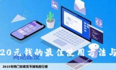 数字钱包20元钱的最佳使用方法与实用技巧