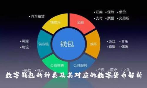 数字钱包的种类及其对应的数字货币解析