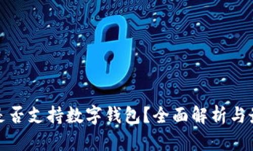 亚马逊是否支持数字钱包?全面解析与最新动态