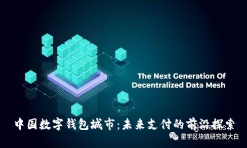 中国数字钱包城市:未来支付的前沿探索