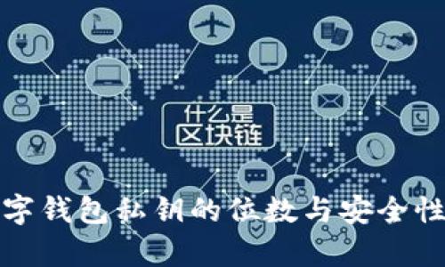 : 数字钱包私钥的位数与安全性分析
