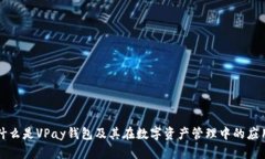 什么是VPay钱包及其在数字资产管理中的应用