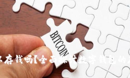 数字钱包真的可以存钱吗?全面探讨数字钱包的存储功能与安全性
