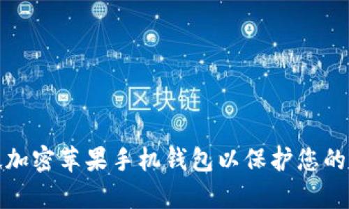 如何有效加密苹果手机钱包以保护您的个人信息