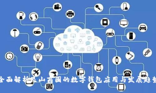 全面解析昆山商圈的数字钱包应用与发展趋势