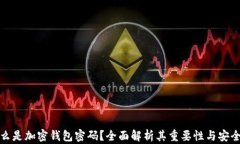什么是加密钱包密码？全面解析其重要性与安全