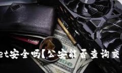 tpWallet安全吗？公安能否查询交易记录？